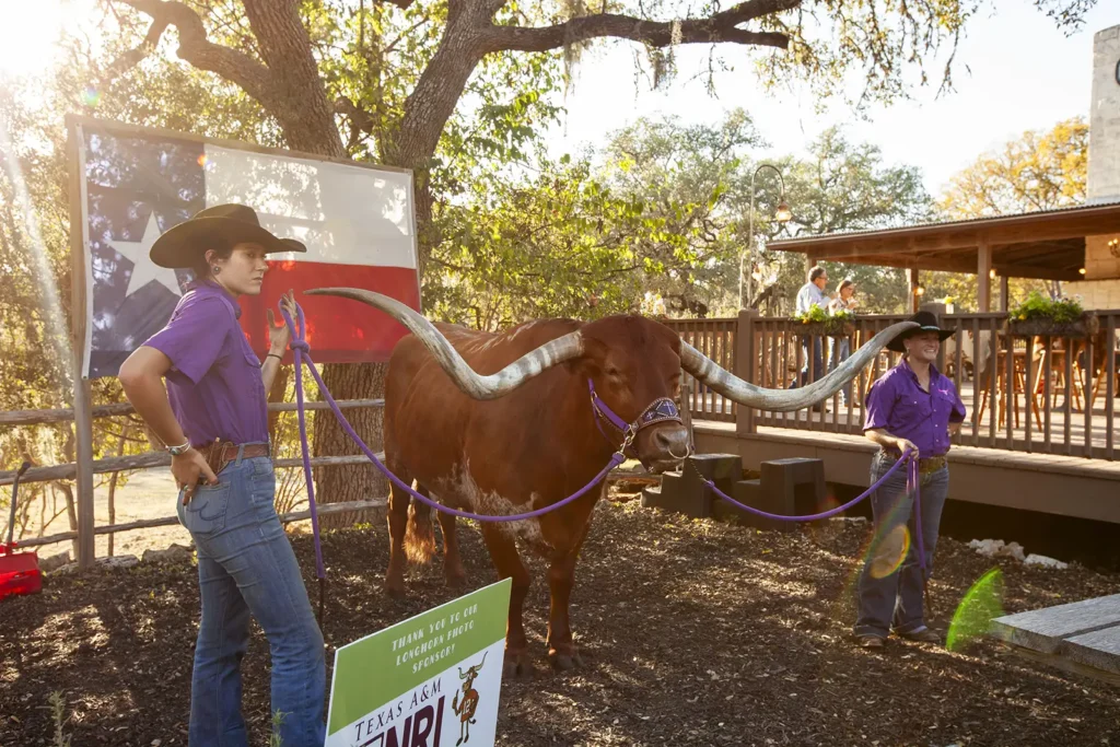 Hill Country Alliance